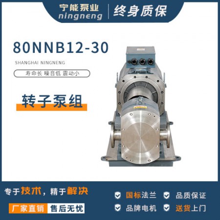 造纸转子泵图3