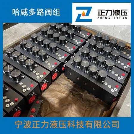 哈威阀图2