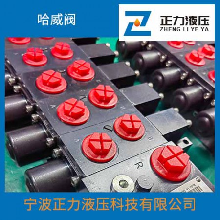 哈威阀图3