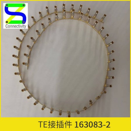 163083端子图2