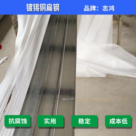 镀锡铜扁铁图2