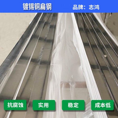 镀锡铜扁铁图3