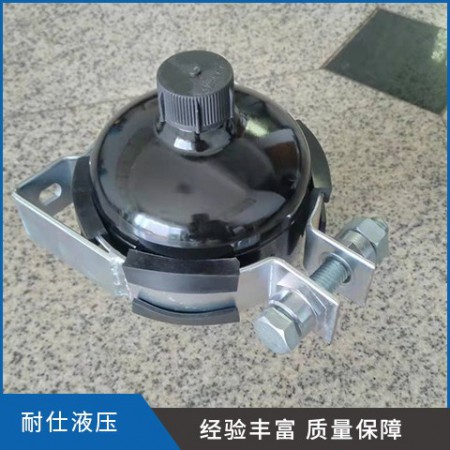 隔膜式蓄能器图2