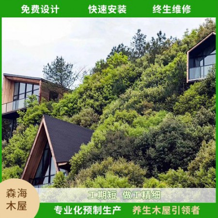 别墅木屋图5