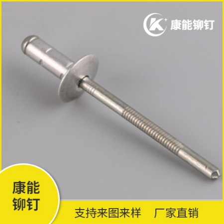 双鼓铆钉 13738803808图2