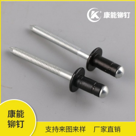 双鼓铆钉 13738803808图3